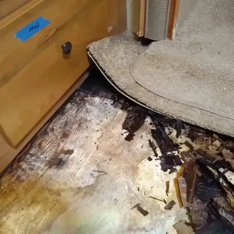 Wood Floor Water Damage in Caldwell, KS